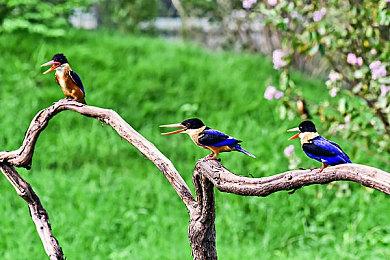 《最后的生还者》独立多人游戏可能还登陆PS4