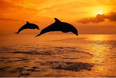 清算时间到！《无主之地4》CEO曾坚称可在主机丝滑运行游戏